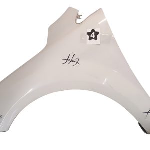 Guardabarro Izquierdo Ford Focus 2 (01589434)