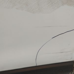 Puerta Delantera Izquierda Renault Kangoo Ln (05481908)