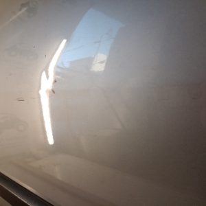 Puerta Delantera Derecha Renault Megane 2 (04079949)