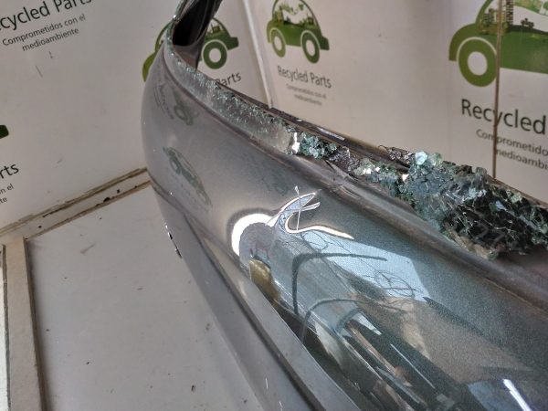 Porton Trasero Peugeot 307 (04157660)
