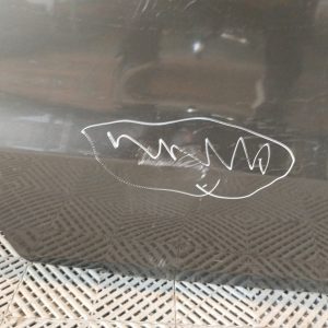 Puerta Trasera Derecha Vw Gol Trend (05402684) Lp