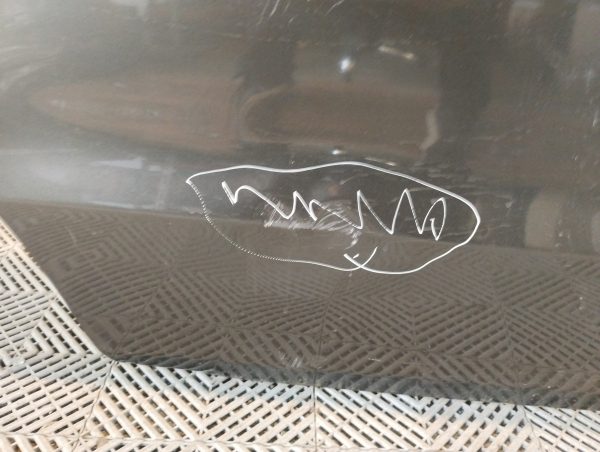 Puerta Trasera Derecha Vw Gol Trend (05402684) Lp