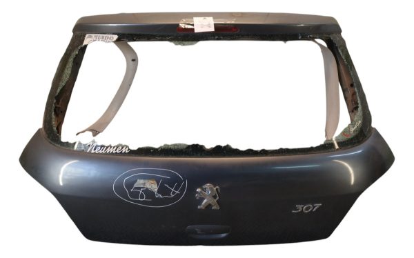 Porton Trasero Peugeot 307 (06020727)