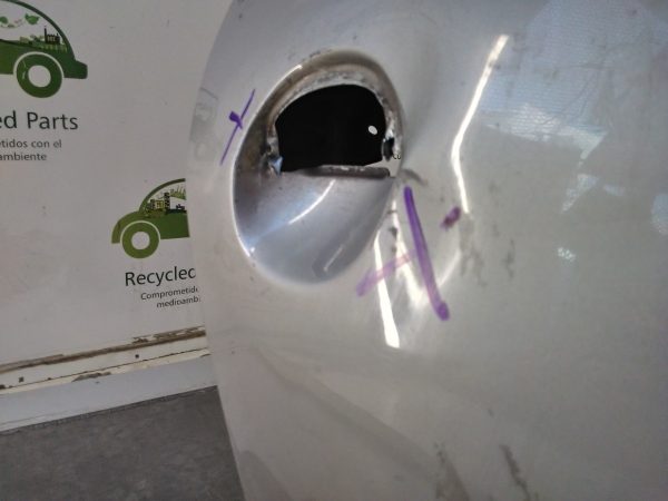 Puerta Trasera Derecha Peugeot 207 (04335392)