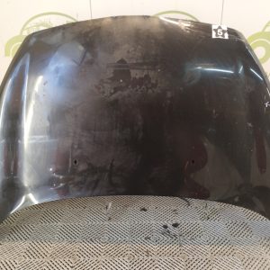 Capot Ford Fiesta Kinetic F1 (04899703)