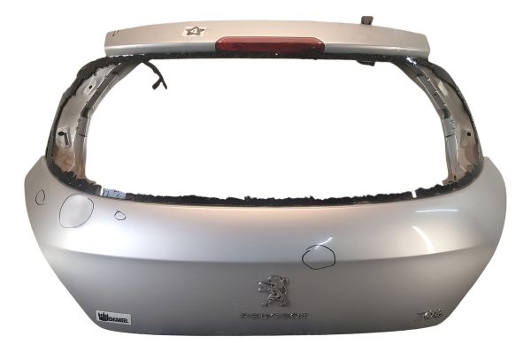 Porton Trasero Peugeot 308 (06437918)