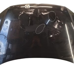 Capot Vw Gol Trend G6 G7 (06537417)