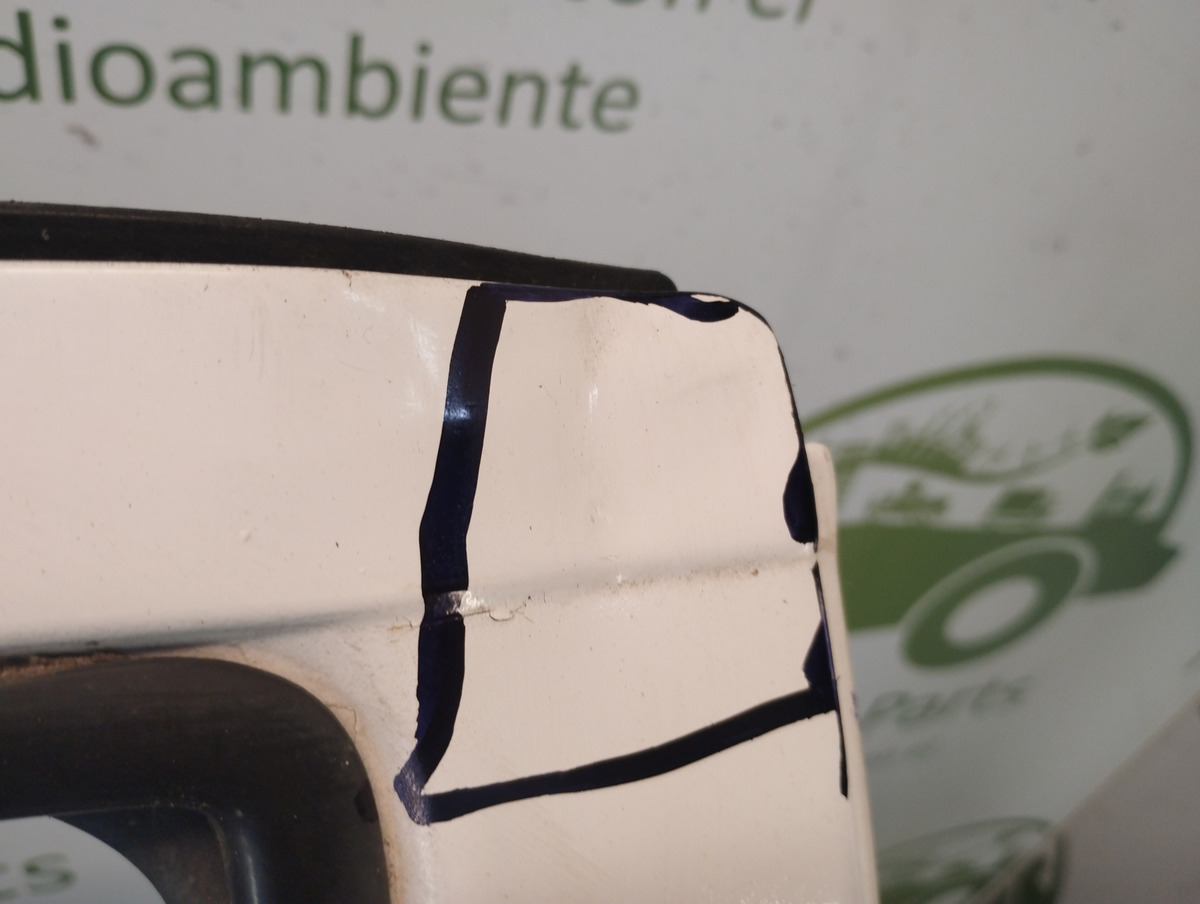 Puerta Trasera Derecha Toyota Hilux (04449818)