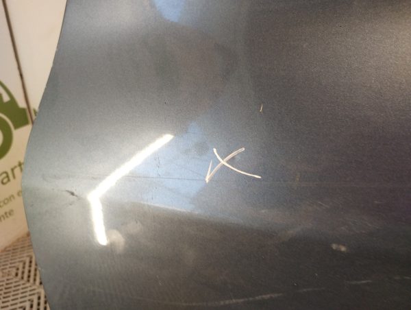 Puerta Delantera Izquierda Peugeot 307 (04920997)