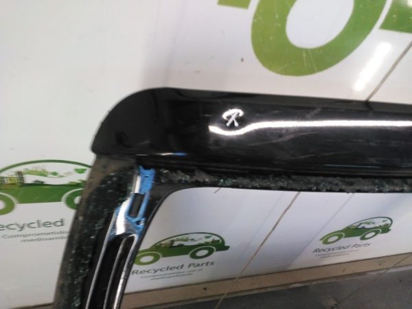 Porton Trasero Peugeot 207 (03474316)