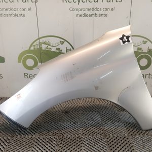 Guardabarro Izquierdo Peugeot 207 (06245698)