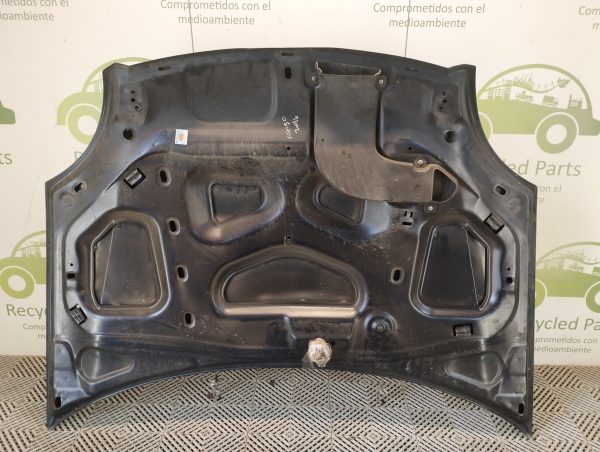 Capot Renault Kangoo Li (05248341)