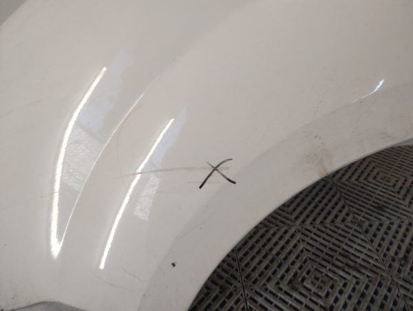 Guardabarro Izquierdo Renault Kangoo Li (06064812)