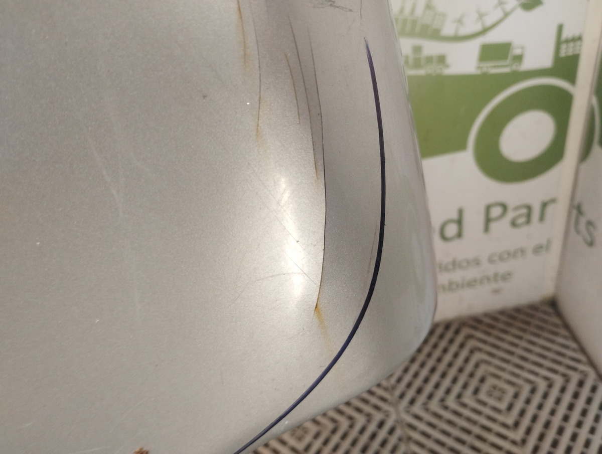 Porton Trasero Peugeot Partner (07000206)