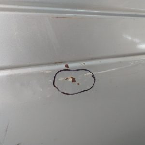 Puerta Delantera Derecha Ford Escort Rural (03903421)