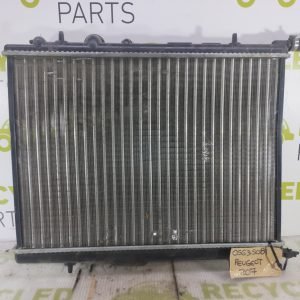 Radiador De Agua Peugeot 207 1.4 (05635081)