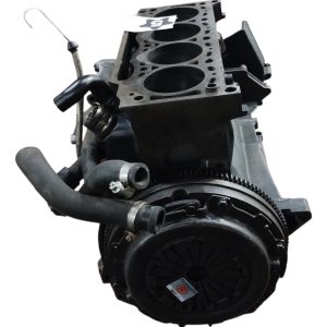 Motor Renaut Kangoo 1.9 8v F8q (05920716) Solo Block