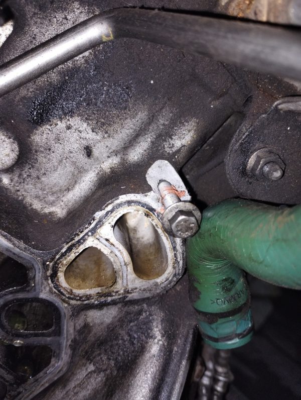 Motor Citroen Berlingo 1.6 8v Hdi (06198565) Detalle