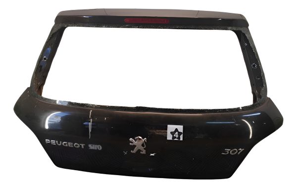 Porton Trasero Peugeot 307 (03293485)