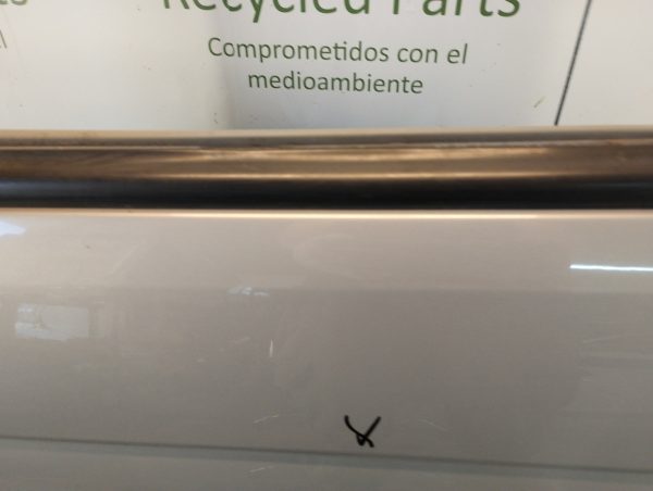 Puerta Trasera Izquierda Renault Scenic (04571683) Lp