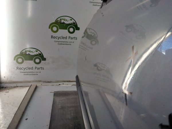 Puerta Delantera Izquierda Renault Megane 2 (04410485)