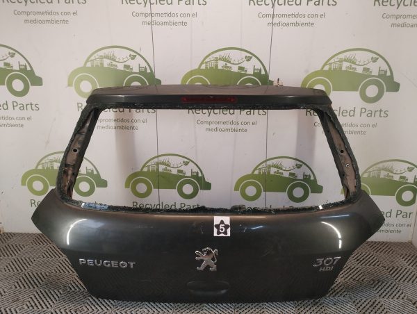 Porton Trasero Peugeot 307 (05515080)