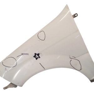 Guardabarro Izquierdo Fiat Palio F3 (05031215)