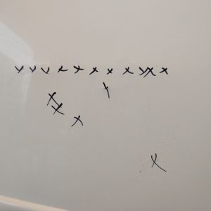 Puerta Trasera Derecha Citroen Berlingo (06182636)