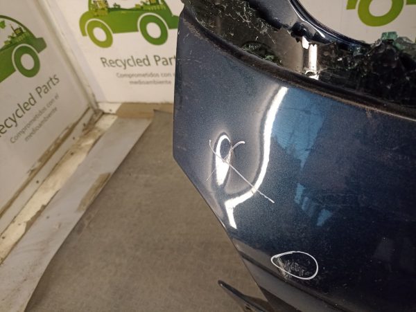 Porton Trasero Peugeot 207 (04516989)