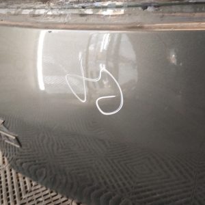 Porton Trasero Vw Fox Lv G1 (06300273)