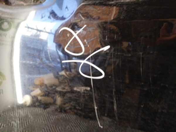 Puerta Delantera Izquierda Citroen C3 Aircross (05366937)
