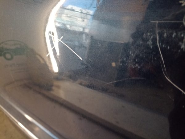 Puerta Trasera Izquierda Peugeot 207 (04318800)