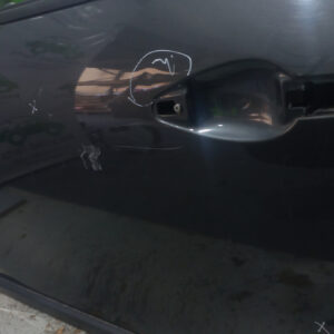 Puerta Delantera Izquierda Peugeot 2008 (05502903) Lp