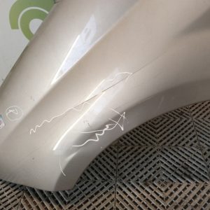Guardabarro Izquierdo Fiat Punto (01629708)
