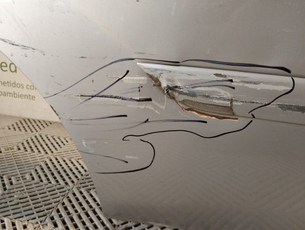 Puerta Trasera Derecha Ford Focus 1 (05317061) Lp
