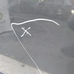 Puerta Trasera Izquierda Peugeot 307 (05853003) Lp