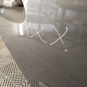 Puerta Trasera Derecha Renault Clio 2 (04793663)