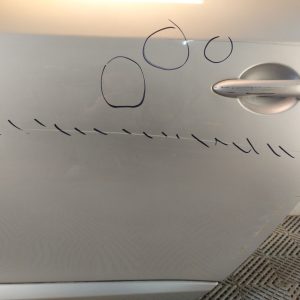 Puerta Trasera Izquierda Renault Fluence (06455290)