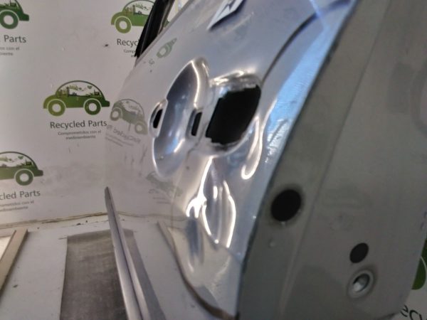 Puerta Delantera Izquierda Renault Megane 2 (04410485)
