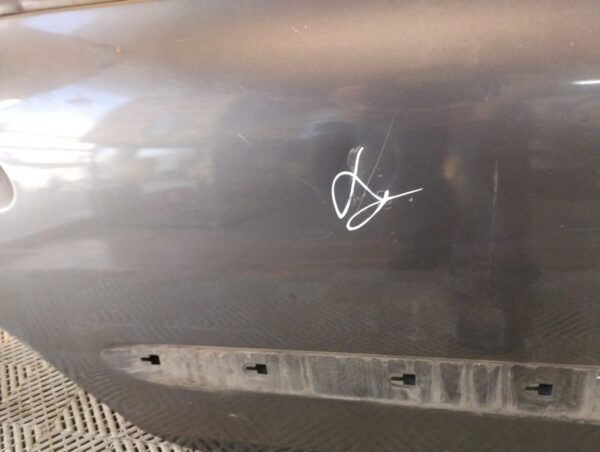 Puerta Trasera Derecha Renault Clio 2 (05581440)