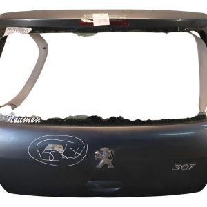 Porton Trasero Peugeot 307 (06020727)
