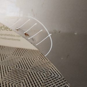Puerta Trasera Derecha Honda Fit Li (04564048)