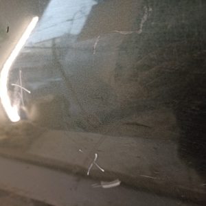 Puerta Trasera Derecha Peugeot 207 (03193444) Lp