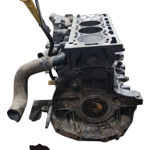 Motor Renault Fluence 1.6 16v (06287697) Solo Block