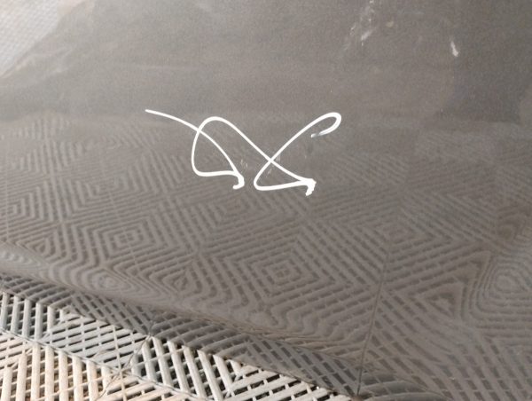 Puerta Trasera Izquierda Ford Focus 2 (05031659)