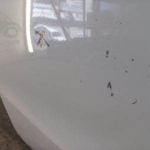 Puerta Trasera Derecha Honda Civic 9na (04111367)