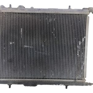 Radiador De Agua Citroen C4 1.6 (06167531)