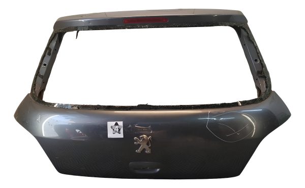 Porton Trasero Peugeot 307 (03551291)