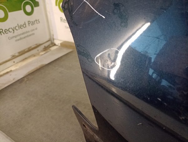 Porton Trasero Peugeot 207 (04516989)