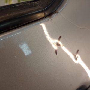 Puerta Trasera Izquierda Peugeot 307 (04443211)